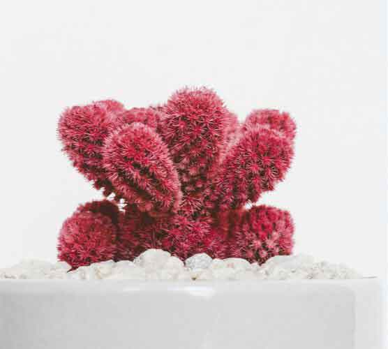 无限轰炸手机软件短信下载